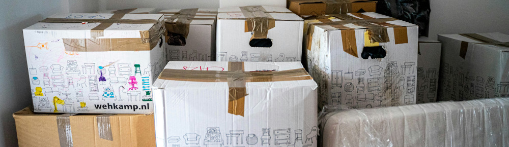 The Death of a Cicada In the Garden Among the Punishment of Life by Trilety Wade Moving boxes, photo by Michal Balog