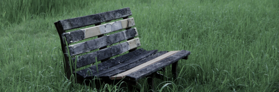 An old bench in the grass, photo by Naoki Suzuki