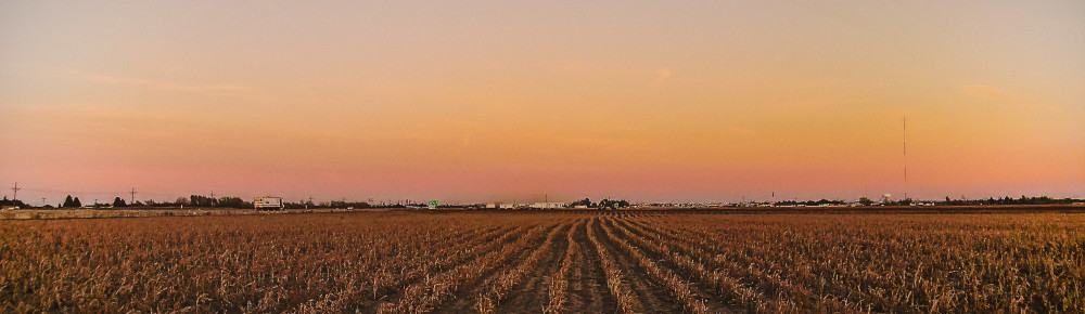 A field in early light, photo by K. Mitch Hodge