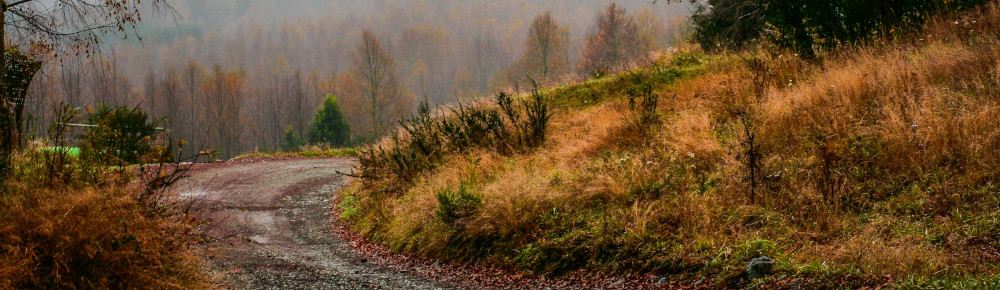 Dirt road in the country, photo by Ricardo Alfaro