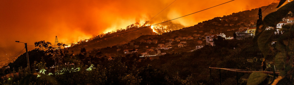 Fire, photo by Michael Held